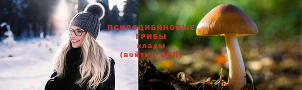 прущая мука Алексин