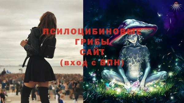 прущая мука Гусь-Хрустальный