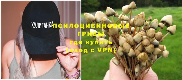 прущие крисы Алексеевка