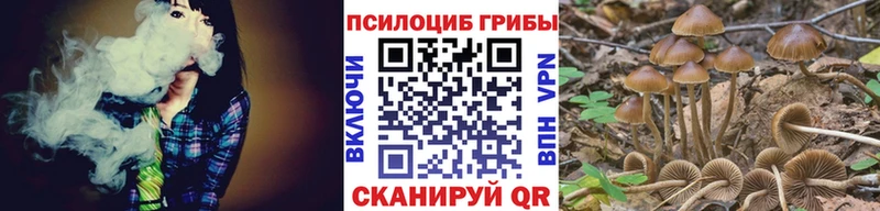 Псилоцибиновые грибы GOLDEN TEACHER  купить наркотики цена  Геленджик 