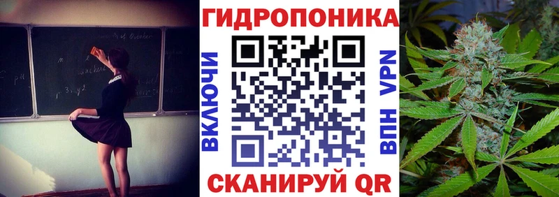 Конопля гибрид  дарк нет Telegram  Геленджик  наркошоп 